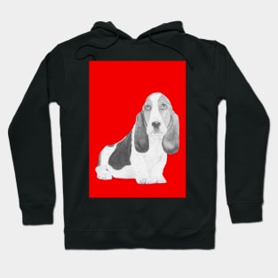 Basset Hound Puppy in Red Hoodie